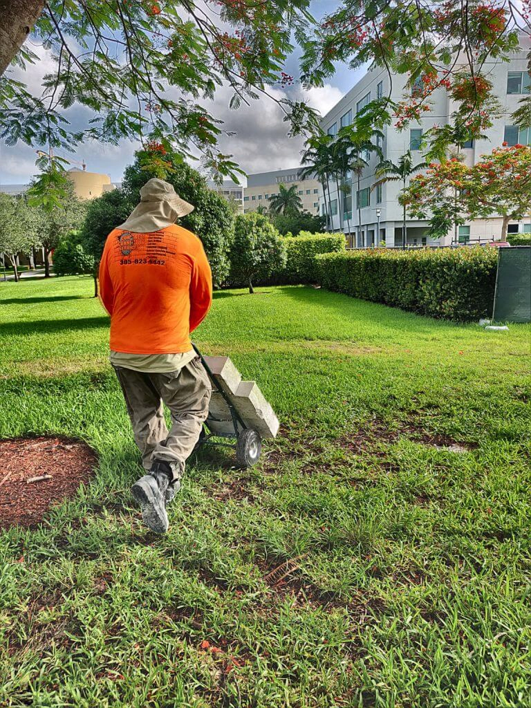 removing concrete