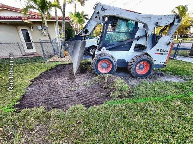 Bobcat